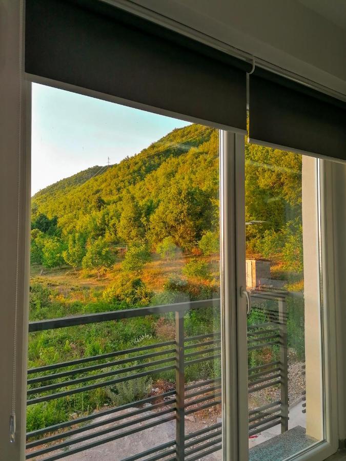 Apartments St.Martinia オフリド エクステリア 写真